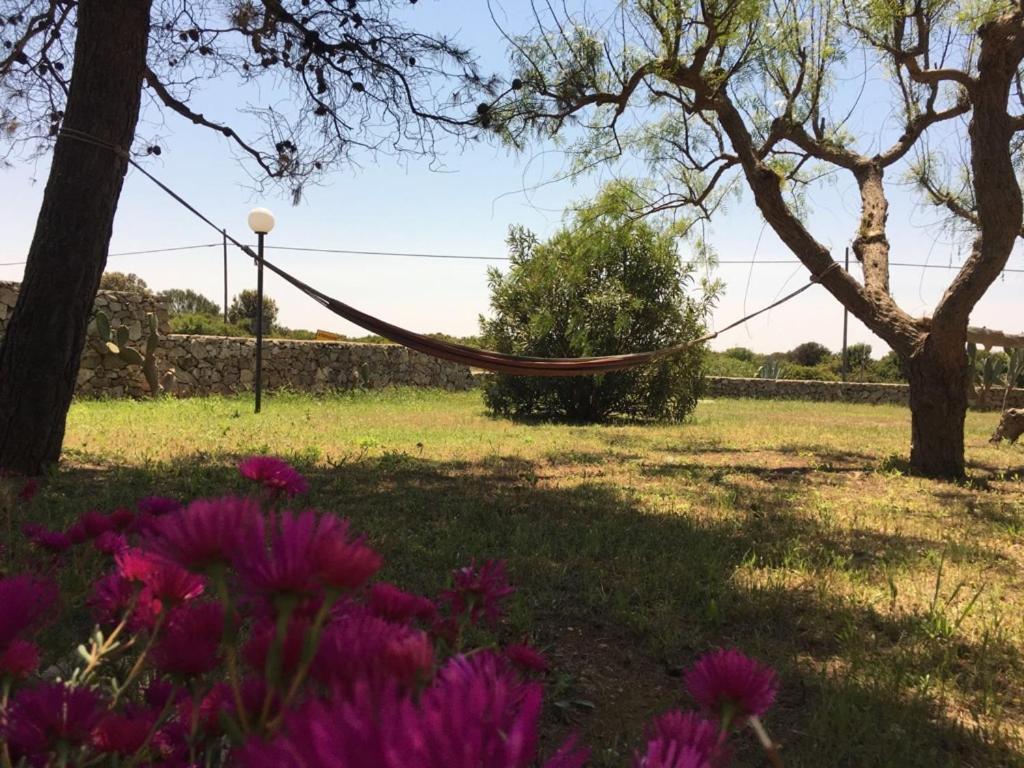 Tenuta Nonno Carmine Porto Cesareo Eksteriør billede