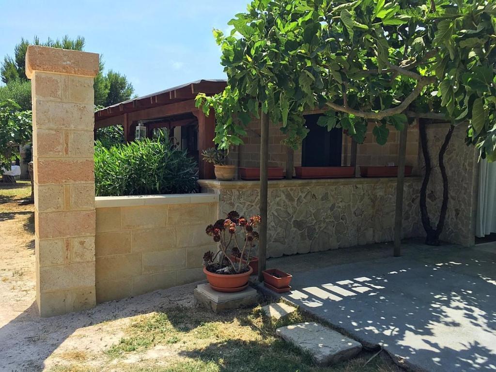 Tenuta Nonno Carmine Porto Cesareo Eksteriør billede